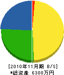 羽山組 貸借対照表 2010年11月期