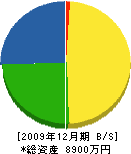 長谷川電気商会 貸借対照表 2009年12月期