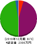 村瀬硝子店 貸借対照表 2010年12月期