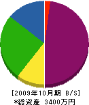 市川工業所 貸借対照表 2009年10月期