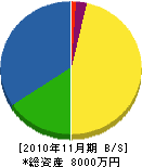 朝日電気 貸借対照表 2010年11月期