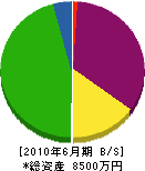 アヅマ総合美装 貸借対照表 2010年6月期