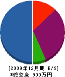 アリヤマ電気 貸借対照表 2009年12月期