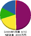 秋元造園 貸借対照表 2009年5月期