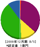 辻管工 貸借対照表 2008年12月期