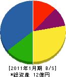 長野森林組合 貸借対照表 2011年1月期