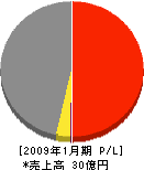 山田工業 損益計算書 2009年1月期