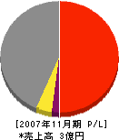 東亜建設 損益計算書 2007年11月期