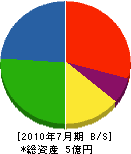 広瀬組 貸借対照表 2010年7月期