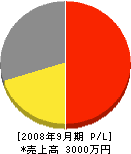 島田造園土木 損益計算書 2008年9月期