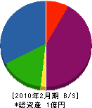 岩井建築 貸借対照表 2010年2月期