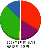 松崎建業 貸借対照表 2009年8月期