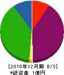 岩崎工務店 貸借対照表 2010年12月期
