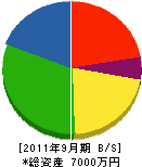 樋口電気商会 貸借対照表 2011年9月期