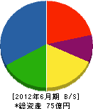 福井建設 貸借対照表 2012年6月期