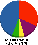 竹原木材 貸借対照表 2010年9月期