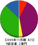 日新電業 貸借対照表 2009年11月期