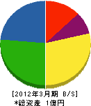 中村美創 貸借対照表 2012年3月期