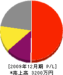 内野貞行 損益計算書 2009年12月期