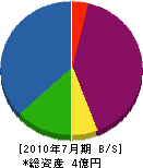 東岸和田総合開発 貸借対照表 2010年7月期