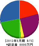 西沢工業 貸借対照表 2012年6月期