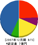 牟田建設 貸借対照表 2007年12月期