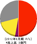 宇田川電気工業所 損益計算書 2012年6月期