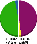 坂内建設 貸借対照表 2010年10月期