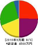 柴沢塗装 貸借対照表 2010年9月期