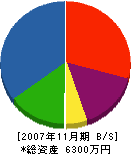 田沢塗装工業 貸借対照表 2007年11月期