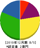 坪井 貸借対照表 2010年12月期