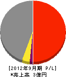 坂川コーポレーション 損益計算書 2012年9月期