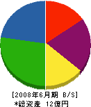 駒井設備 貸借対照表 2008年6月期