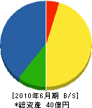 吉田組 貸借対照表 2010年6月期