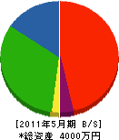 青電住設 貸借対照表 2011年5月期