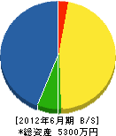片岡電設 貸借対照表 2012年6月期