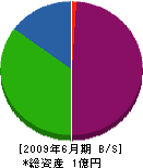 辻本電工 貸借対照表 2009年6月期