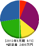 新井電器 貸借対照表 2012年6月期