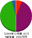 タダノ塗装 貸借対照表 2008年12月期