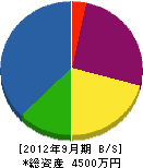富田電気商会 貸借対照表 2012年9月期