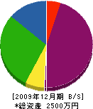 杉本建具硝子店 貸借対照表 2009年12月期