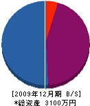 ＊田工務店 貸借対照表 2009年12月期