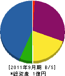 東京洗管工業 貸借対照表 2011年9月期