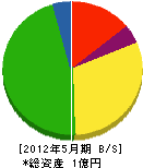川尻電気工事 貸借対照表 2012年5月期
