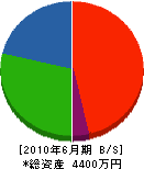 中島産業 貸借対照表 2010年6月期