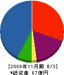 山本製作所 貸借対照表 2009年11月期