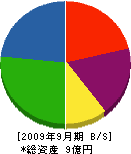 山武コーポレーション 貸借対照表 2009年9月期