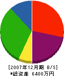 皆川興業 貸借対照表 2007年12月期