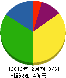 新日本建設 貸借対照表 2012年12月期