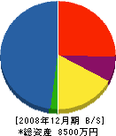 ヒタチ電設 貸借対照表 2008年12月期
